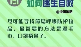 地铁逃生上线爆料视频,揭秘地铁火灾逃生全过程