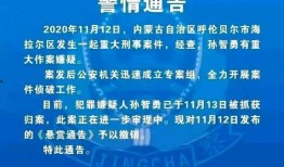 嫌疑人庭审爆料流程视频