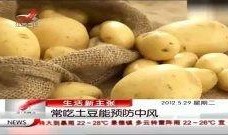 土豆在线观看,畅享海量影视资源