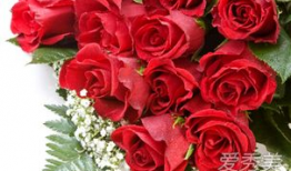 娱乐吃瓜酱带刺的玫瑰,揭秘带刺玫瑰背后的故事