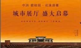花溪新闻爆料网站是什么,追踪热点，倾听民声