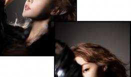 国外明星爆料视频合集下载,精彩瞬间大盘点