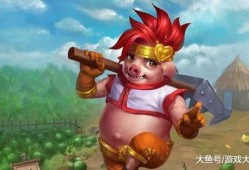 山东猴哥爆料视频大全集,揭秘幕后故事与趣味瞬间
