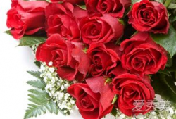 娱乐吃瓜酱带刺的玫瑰,揭秘带刺玫瑰背后的故事