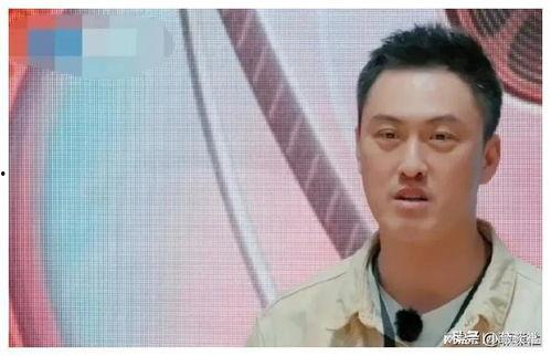 娱乐圈吃瓜爆料最新章节