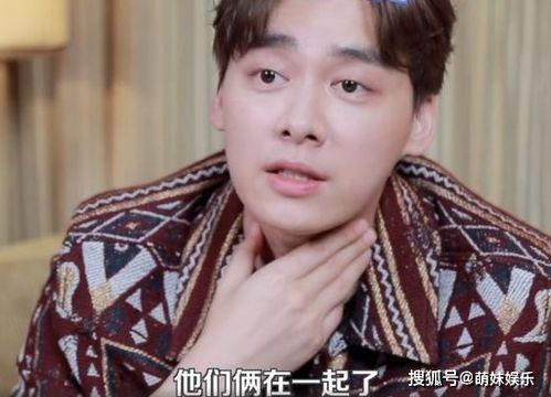 娱乐圈吃瓜王鹤棣