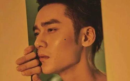 娱乐圈帅哥吃瓜事件视频,揭秘幕后真相与明星隐私曝光